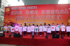 強組織 增活力 鞏固創(chuàng)建成果 喜迎十八大文藝匯演暨教育咨詢服務活動圓滿舉行
